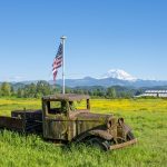 abandoned truck, field, american flag, truck, pickup truck, vehicle, old, rusty, flag, flagpole, meadow, farm, pasture, mount rainier, washington, american flag, american flag, american flag, american flag, american flag, mount rainier