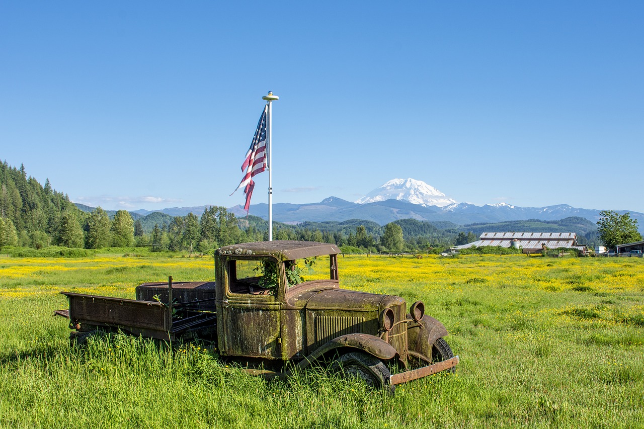 abandoned truck, field, american flag, truck, pickup truck, vehicle, old, rusty, flag, flagpole, meadow, farm, pasture, mount rainier, washington, american flag, american flag, american flag, american flag, american flag, mount rainier